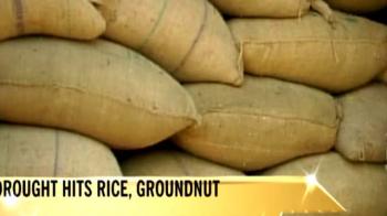 Will rice become more expensive?