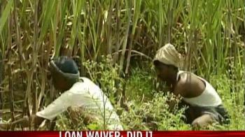 Loan waiver: Did it work?