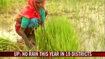 UP: No rain this year in 19 districts