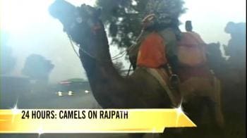 Video : 24 Hours: Camels on Rajpath