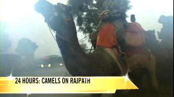 24 Hours: Camels on Rajpath