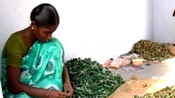 Dragon enters the fireworks capital