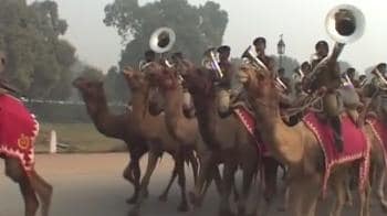 Video : Border Security Force's scene-stealers at R-Day parade