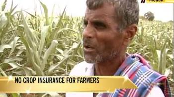 The issue of crop insurance in Andhra