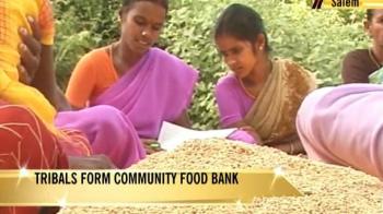 Tribals bring grain revolution