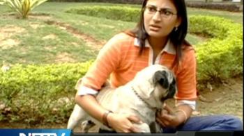 For all the animal lovers...