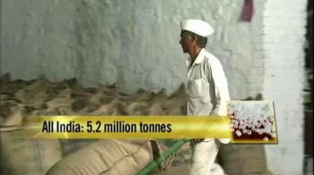 Sugar crisis: Scam or policy failure?