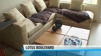 House hunting: NCR, Vrindavan, Mumbai