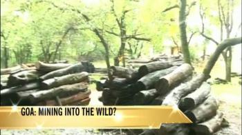Goa: Mining into the wild?