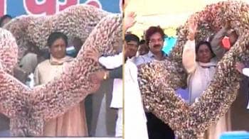 Video : BSP gives another 18-lakh garland to Mayawati