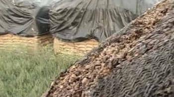 Video : Food grain rots in Punjab as prices soar