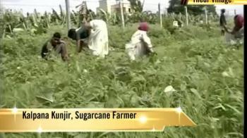 Video : Sweetened offer for cane farmers