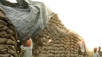 Pawar promises action on wasted wheat