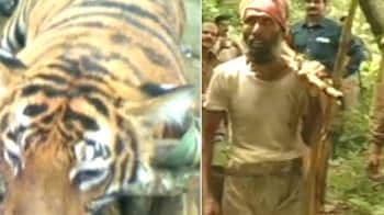Video : Wildlife crisis: 3 animals killed in one week