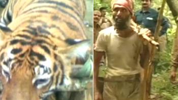 Wildlife crisis: 3 animals killed in one week