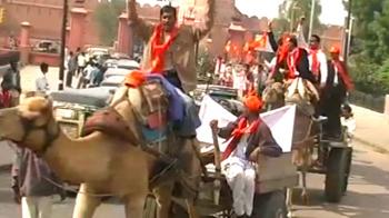 Video : Camels rally for a new state in Rajasthan