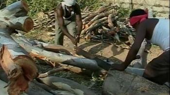 Protest against court's 'green' signal