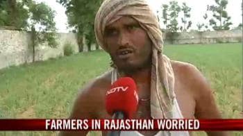 Video : Farmers worry over low rainfall in Rajasthan