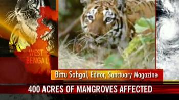 Cyclone Aila ravages tiger territory