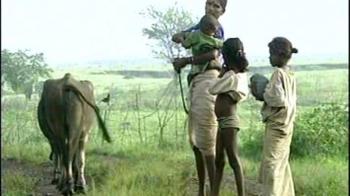 Poverty: India's 30-year report card