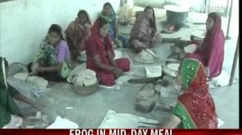 Video : Frog in mid-day meal