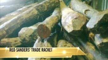 Video : Rare Indian wood smuggled into China