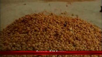 Ordinary dal at five-star price