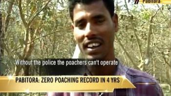 Video : Five rhinos killed in five weeks in Assam