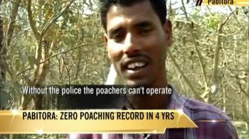 Five rhinos killed in five weeks in Assam