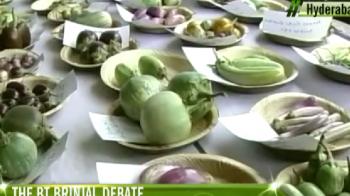 The raging debate over Bt brinjal The raging debate over Bt brinjal