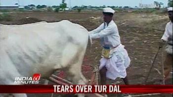 Video : Tears over tur dal