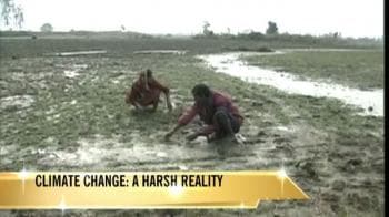 Video : Climate change: A harsh reality for farmers