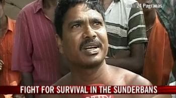 Video : Fight for survival in the Sunderbans