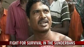 Fight for survival in the Sunderbans