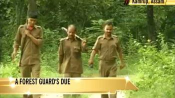 A forest guard's due