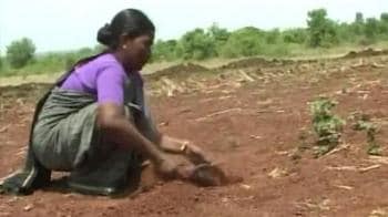 Video : Budget 2010: Dryland farmers' wishlist for Pranab Mukherjee