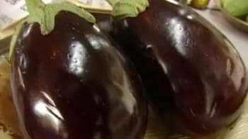 Video : Why farmers don't want Bt brinjal