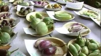 Video : Why farmers don't want Bt brinjal?