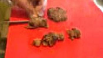 Feeding Frenzy: Begals and Brownies