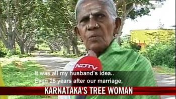 Thimmakka: The tree lady
