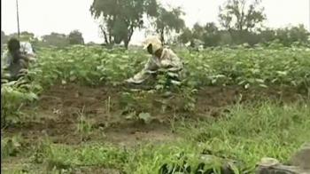 Tracking the monsoon