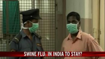Swine flu: In India to stay?