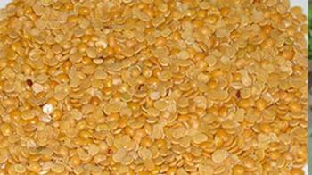 Tur dal: The pulse factor Tur dal: The pulse factor