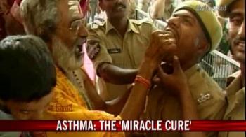 The 'fish cure' for Asthma