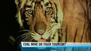 Video : Vidharba: Tiger capital?