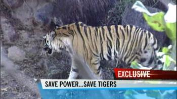 Can't risk tigers for power: PMO