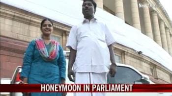 Honeymoon in Parliament
