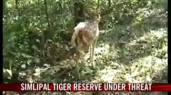 Video : Unguarded Simlipal tiger reserve under threat
