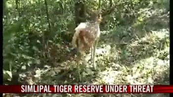 Unguarded Simlipal tiger reserve under threat