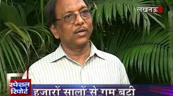 Scientists zero in on 'Sanjeevani booti'